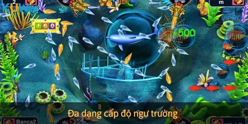 Đa dạng cấp độ ngư trường
