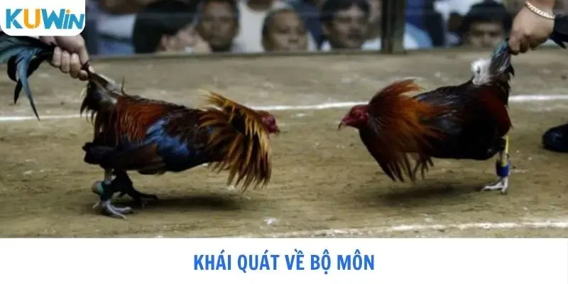 Khái quát về bộ môn