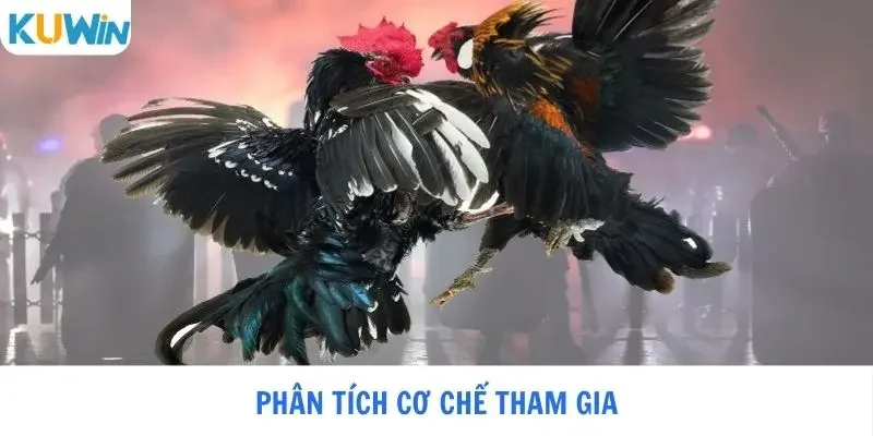 Phân tích cơ chế tham gia